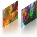 Explore the World of Art with the Best Apps